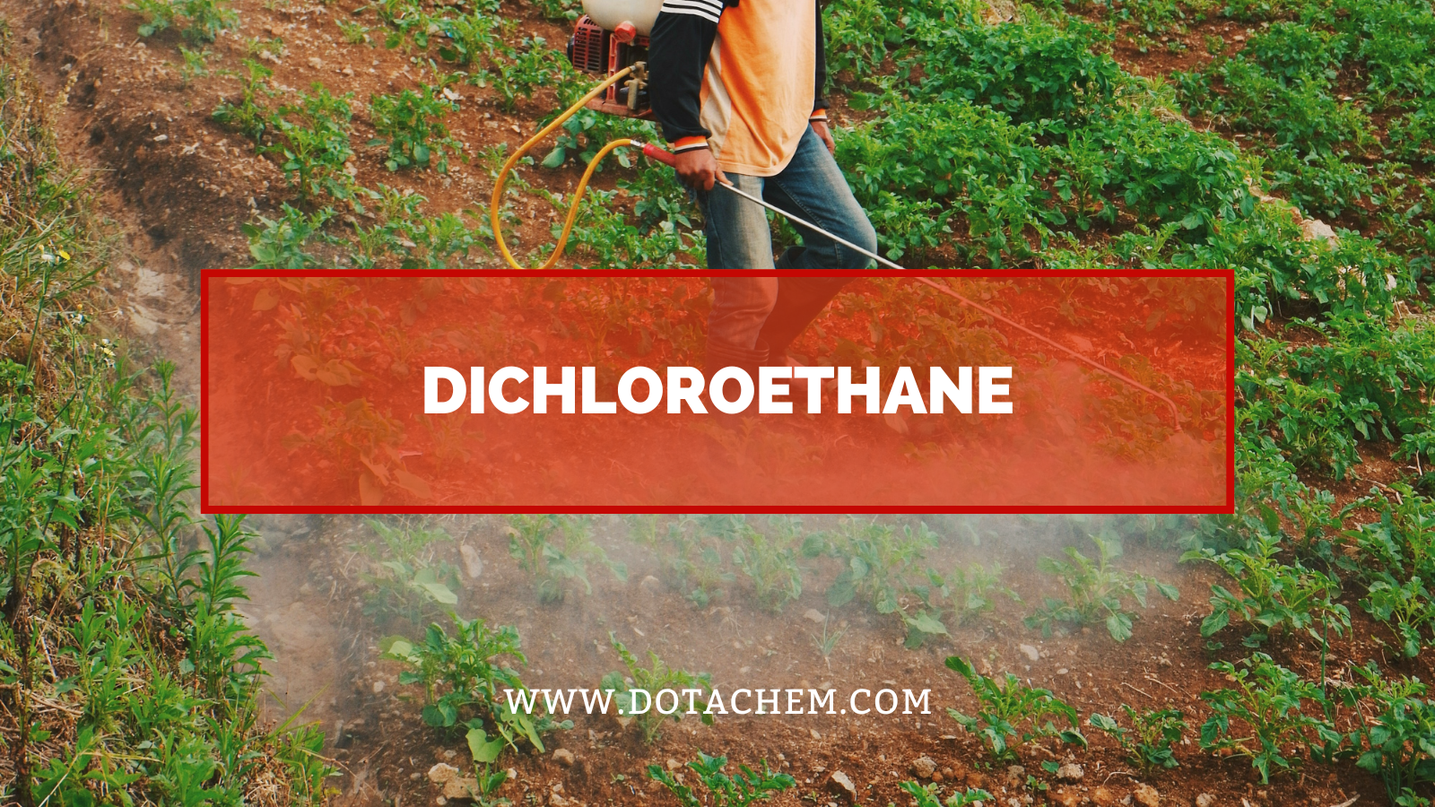 Réitigh thionsclaíocha an -éifeachtúla a dhíghlasáil do Dichloroethane in iliarratais