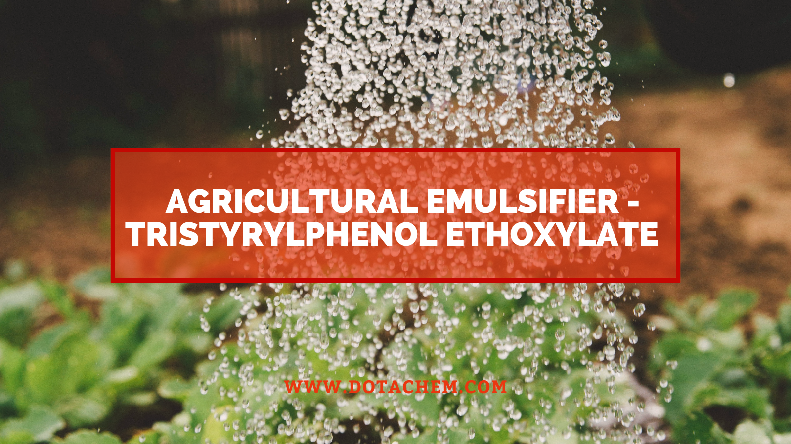 Rogha nua le haghaidh eiblitheoir talmhaíochta - soláthraítear go gairmiúil Ethoxylate Tristyrylphenol Dotachem!