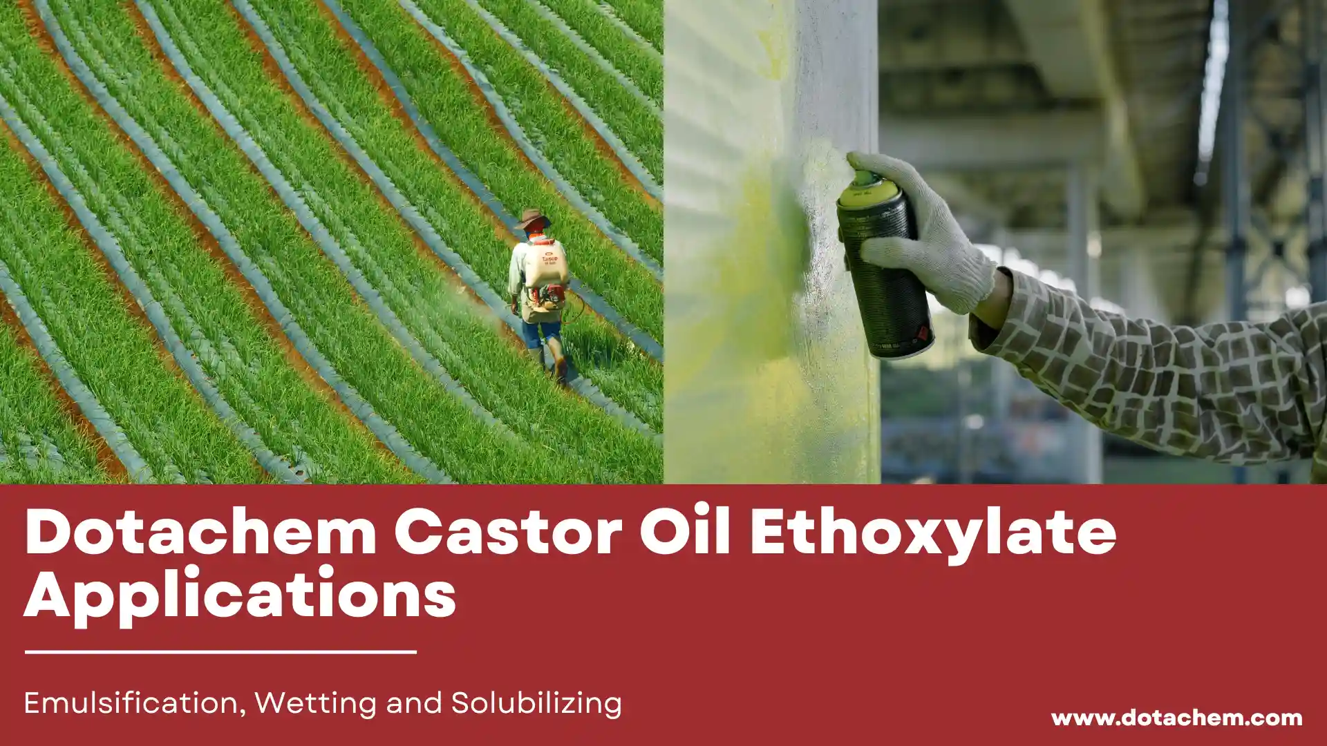 Iarratais Ethoxylate Ola Castor Dotachem i Eiblithe, Wetting agus Intuaslagtha